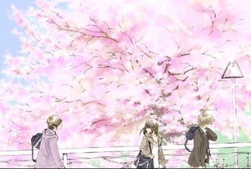 蜜芽tv2020跳转接口